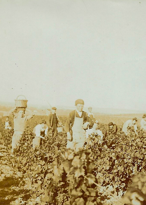 Photos historiques du Champagne Demay-Didier