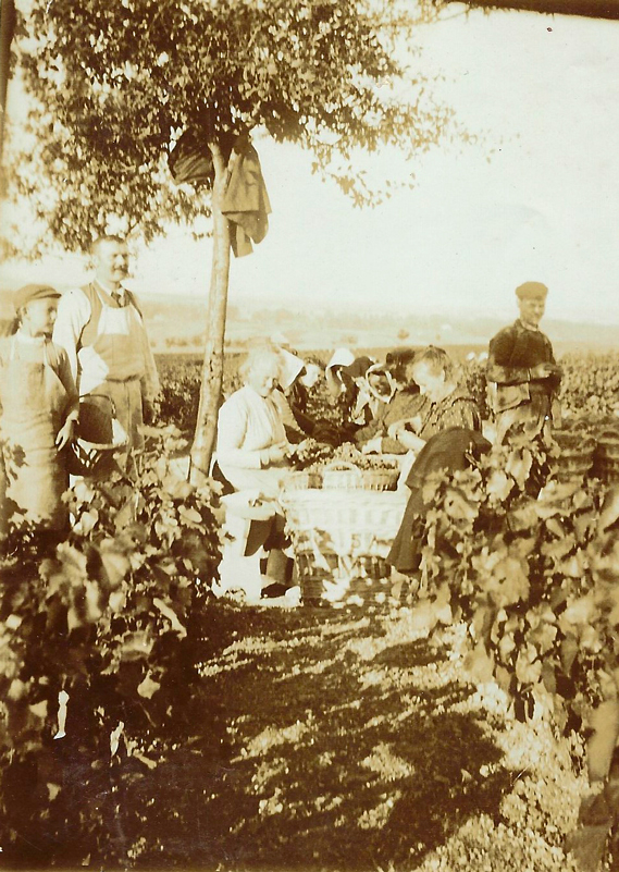 Photos historiques du Champagne Demay-Didier
